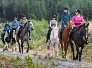 rutas a caballo en Valencia