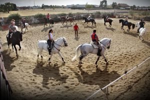 escuelas de equitacion en valencia