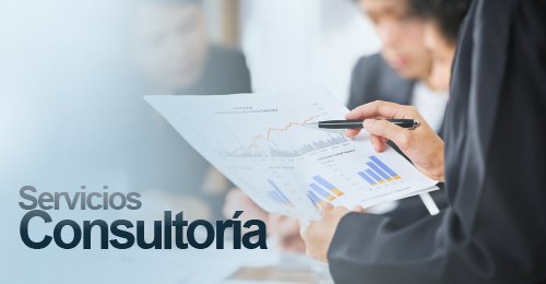 Consultores de Empresas