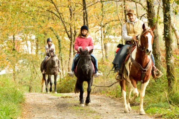 paseos a caballo