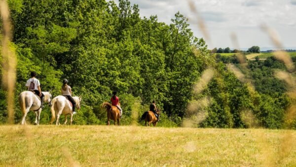 paseos a caballo