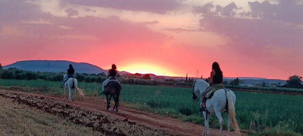 paseos a caballo