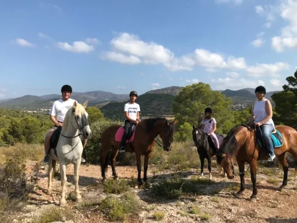 paseos a caballo