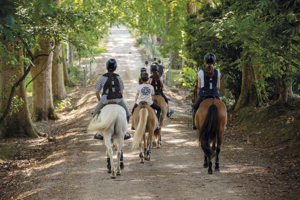 clases de equitación