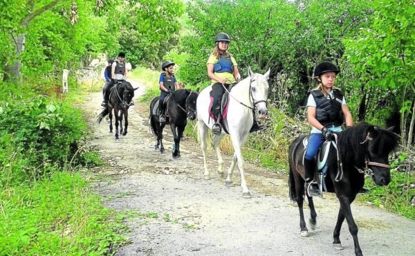 clases de equitación